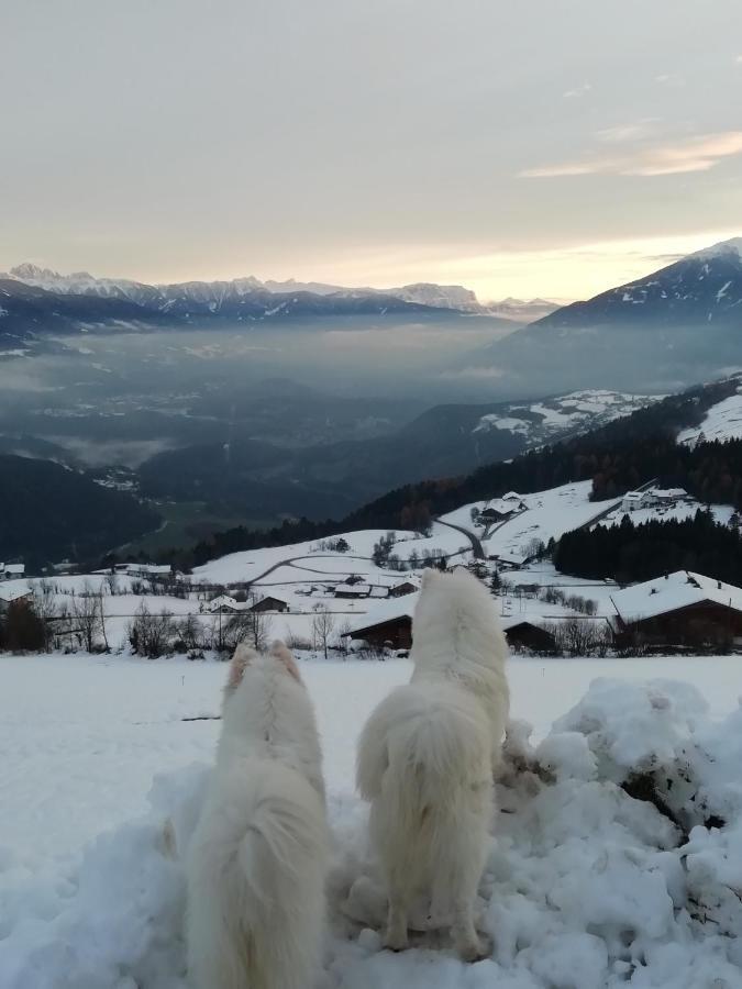 Pitznerhof Appartement Maranza Buitenkant foto
